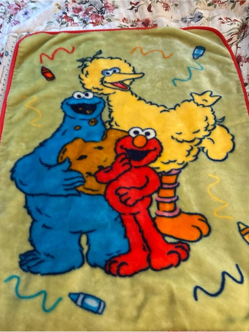 Sesame Street Plush Throw Blanket in Yellow, Blue, Red with Green Background